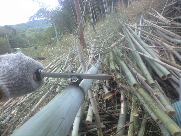 竹の整理！！